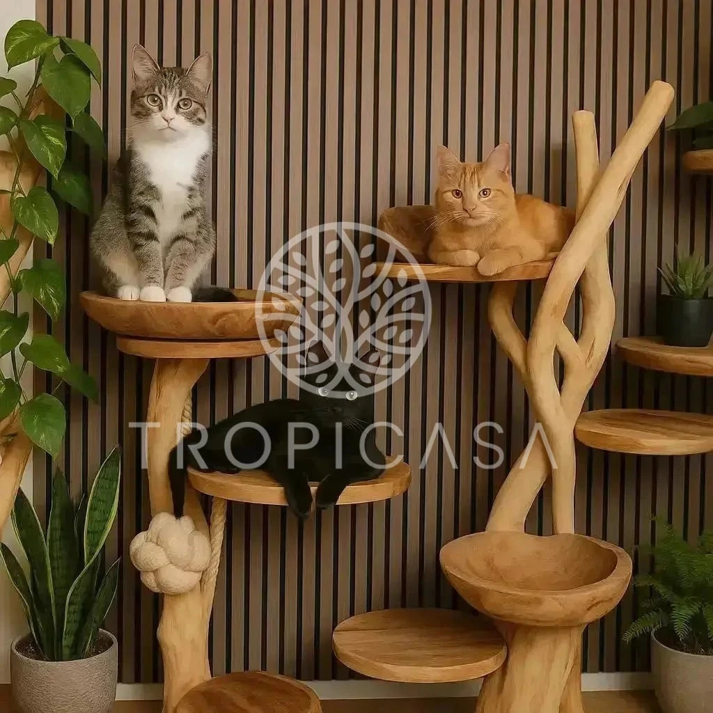 Complete Suar Houten Krabpaal met Zwart Krabtouw, Schaal & Speeltje – 105 cm Hoog | Handgemaakt - TropiCasa.nl