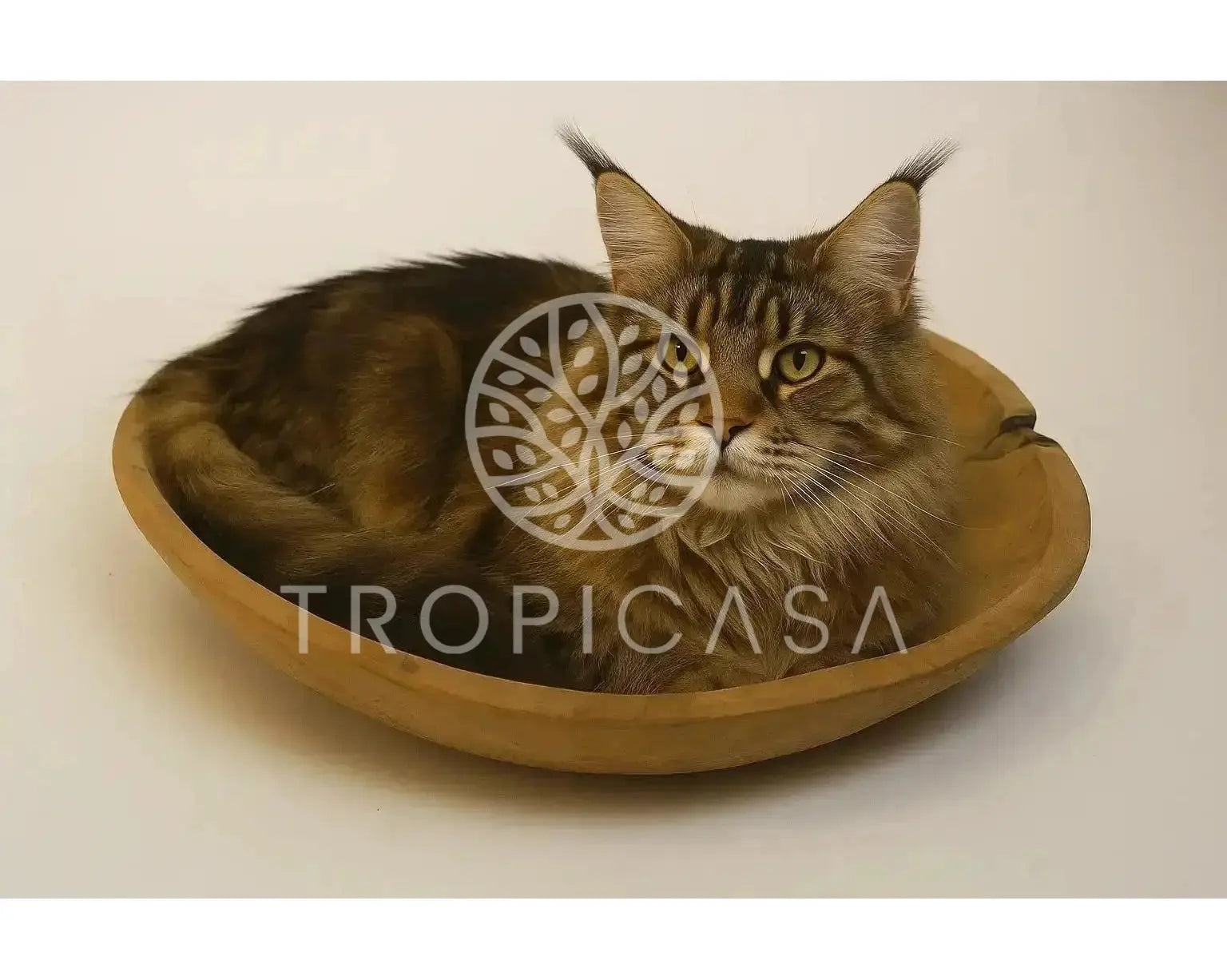 XXL Suar Houten Krabpaal | 200cm Hoog | Handgemaakt - TropiCasa.nl