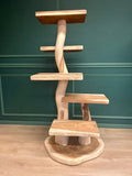 TropiCasa Suar-Kratzbaum Doppel 155 cm hoch handgefertigt aus massivem Holz mit stabilem Design und mehreren Plattformen für Katzen